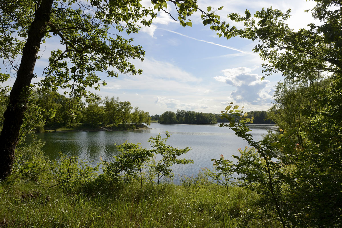 Le Grand Parc de Miribel Jonage 