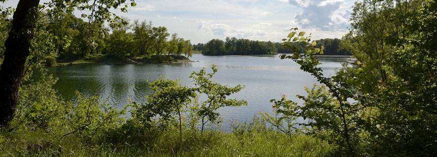 Le Grand Parc de Miribel Jonage 