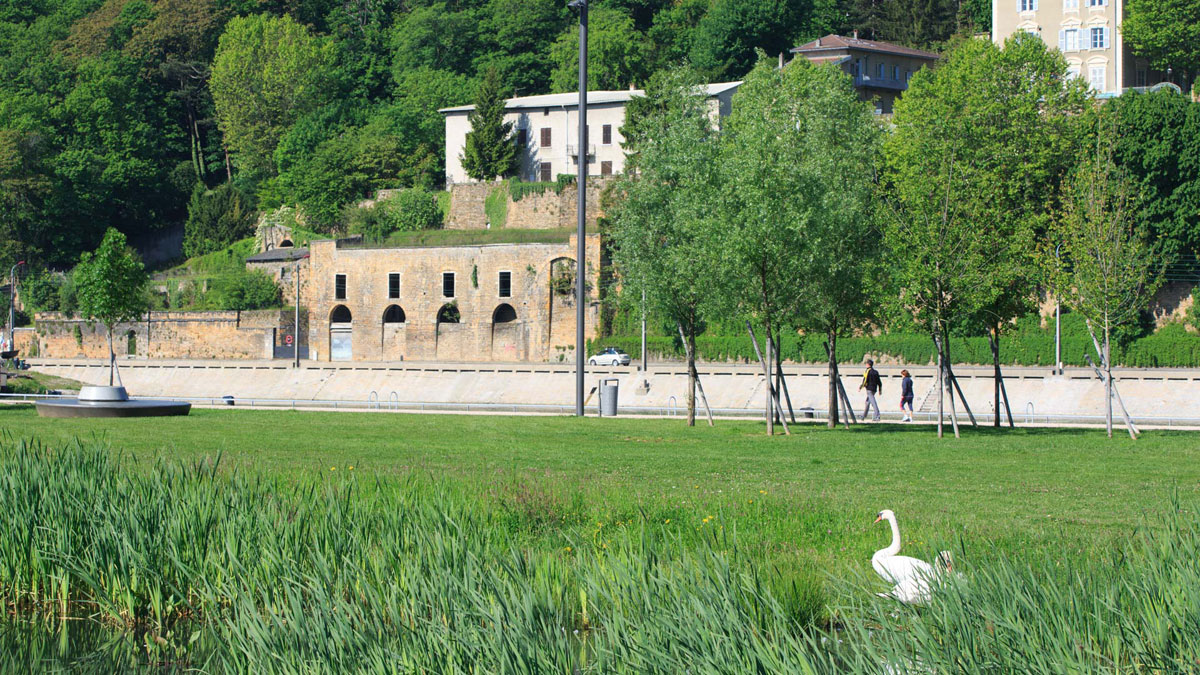 Le parc de Saône