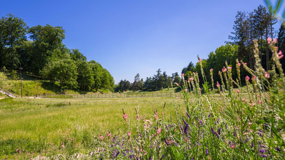 Le parc du Vallon